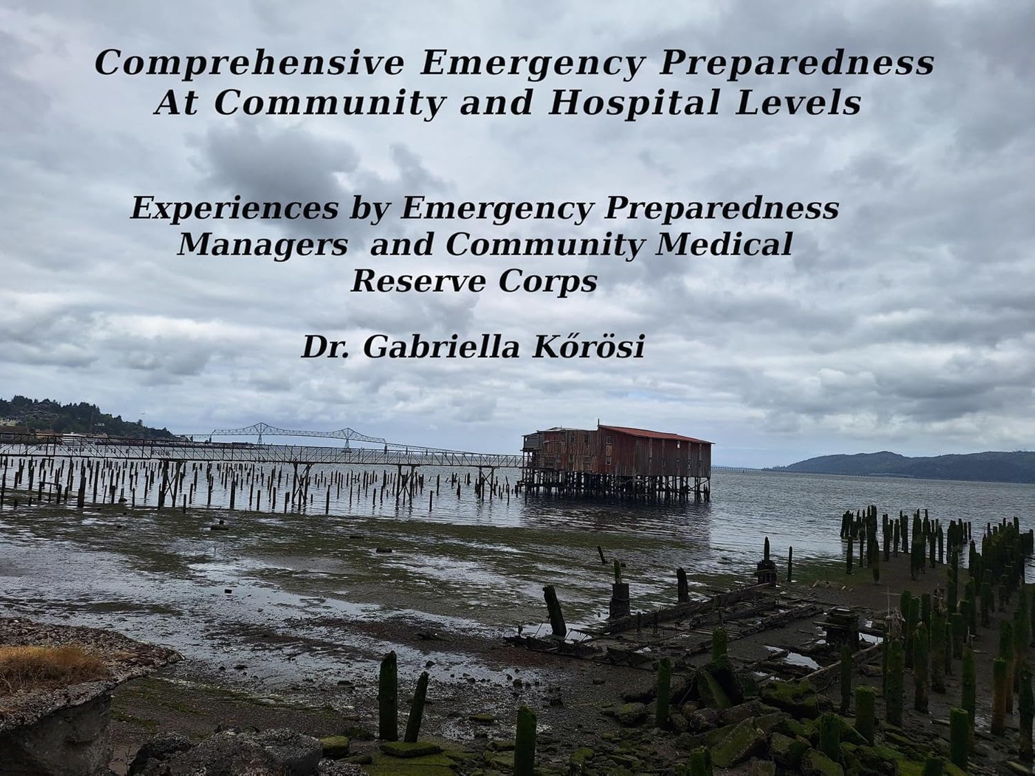 Cover of the book Comprehensive Emergency Preparedness